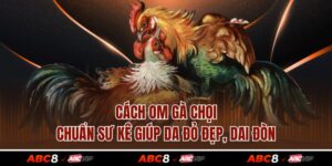 Cách Om Gà Chọi Chuẩn Sư Kê Giúp Da Đỏ Đẹp, Dai Đòn