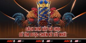 Cách Xem Vảy Gà Chọi Để Tìm Được Chiến Kê Tốt Nhất