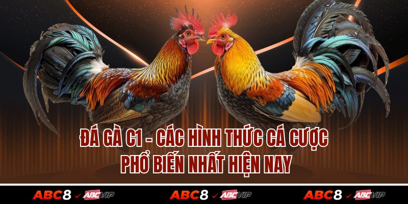 Đá Gà C1 - Các Hình Thức Cá Cược Phổ Biến Nhất Hiện Nay 1 Đá Gà C1 - Các Hình Thức Cá Cược Phổ Biến Nhất Hiện Nay
