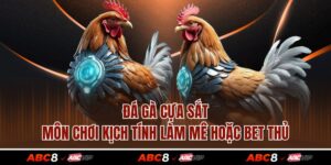 Đá Gà Cựa Sắt – Môn Chơi Kịch Tính Làm Mê Hoặc Bet Thủ