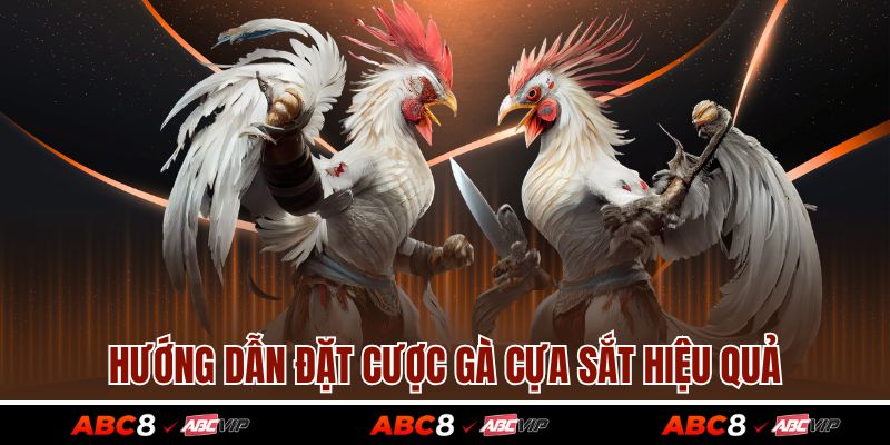 Hướng dẫn đặt cược gà cựa sắt hiệu quả