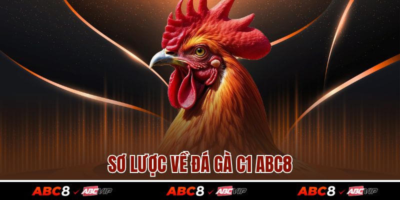 Đá Gà C1 - Các Hình Thức Cá Cược Phổ Biến Nhất Hiện Nay 2 Sơ lược về đá gà c1 ABC8