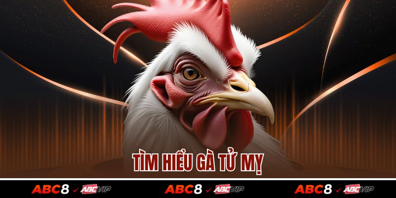 Tìm hiểu gà Tử Mỵ