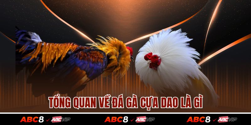 Đá Gà Cựa Dao – Hình Thức Đối Kháng Kịch Tính Bậc Nhất 2 Tổng quan về đá gà cựa dao là gì