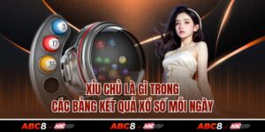 Xỉu Chủ Là Gì Trong Các Bảng Kết Quả Xổ Số Mỗi Ngày